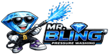 Mr Bling Pressure Washing